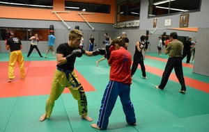 reprise full section adultes