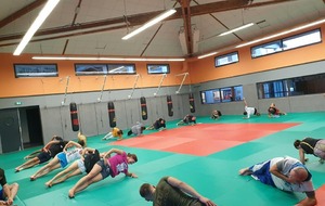 reprise renforcement musculaire